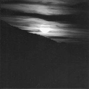 国产精品视频入口麻豆
