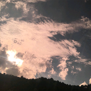 国产精品视频入口麻豆
