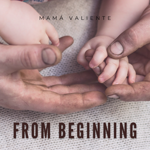 国产精品视频入口麻豆
